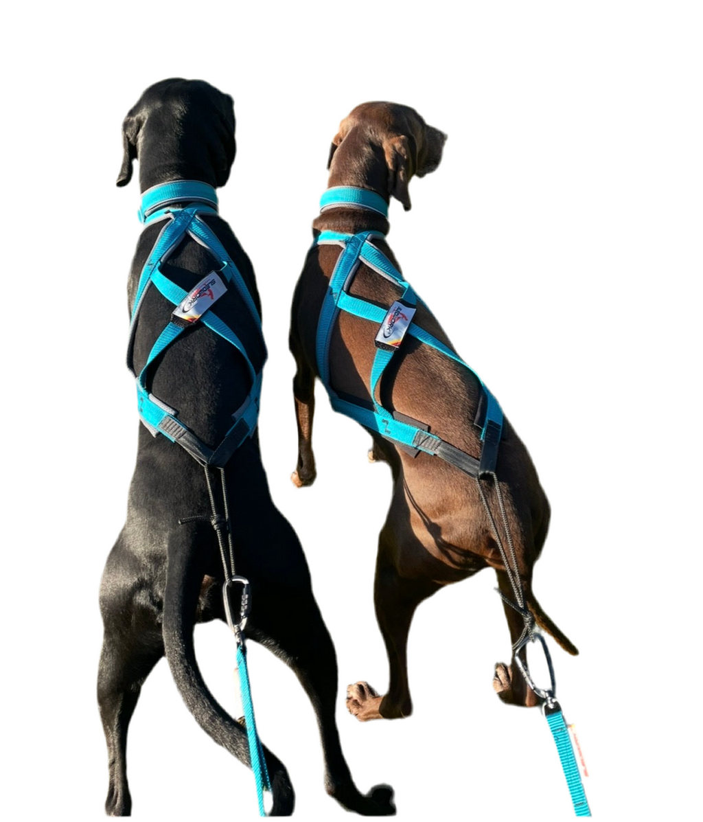 Xback Active G3 – Custom Colourway