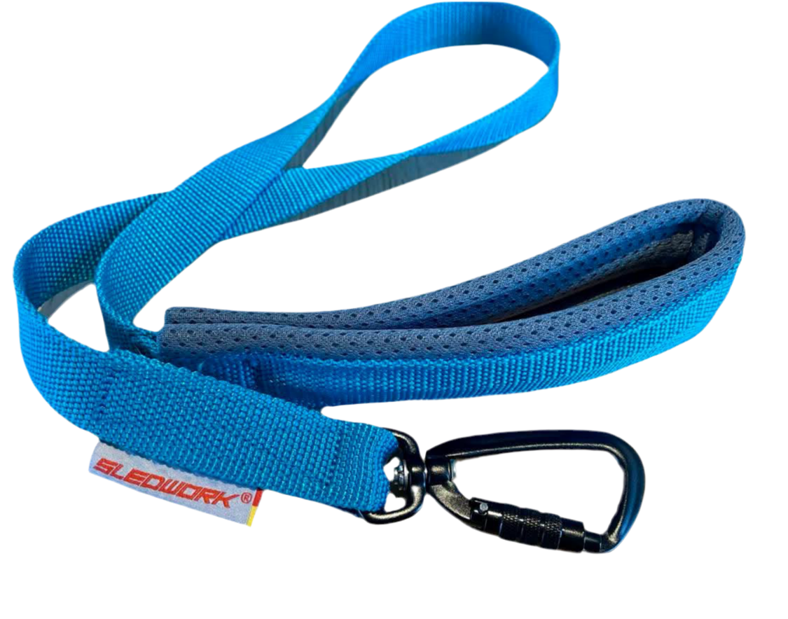 Pro Leash - Active Sport
