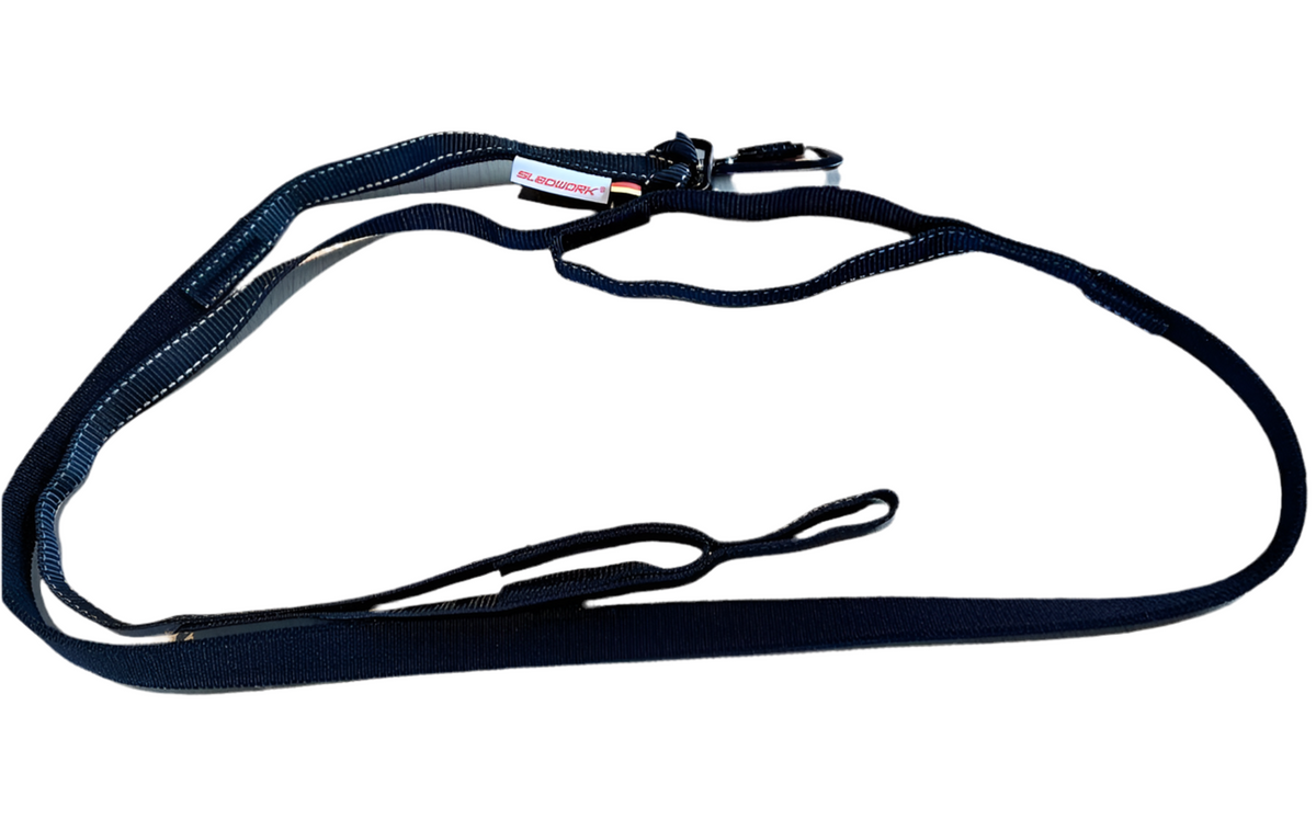 The Bikejor Leash Pro