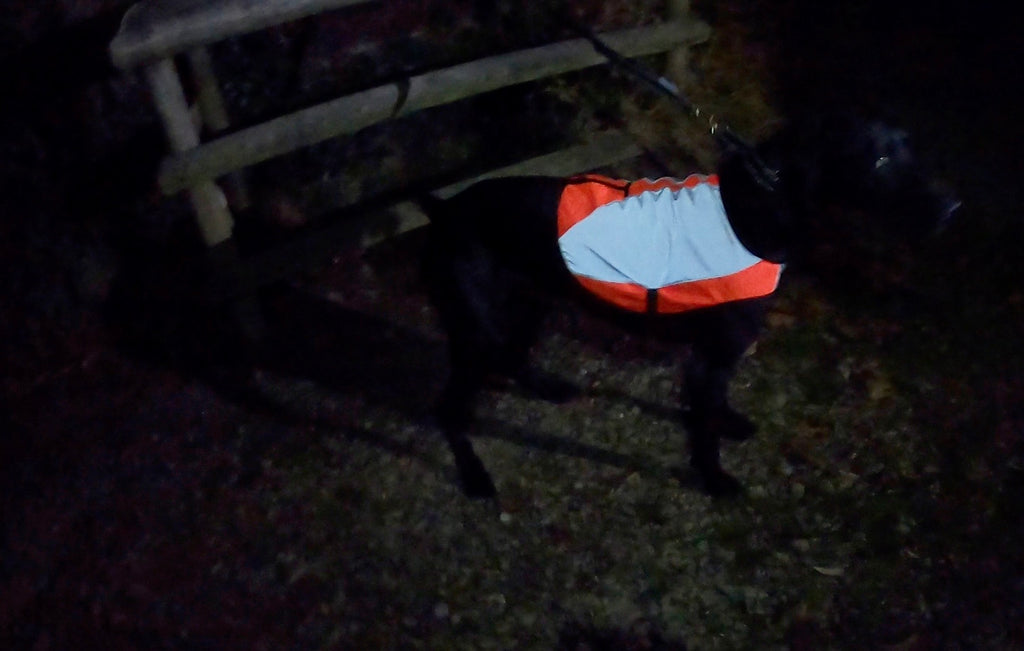 Reflector Vest