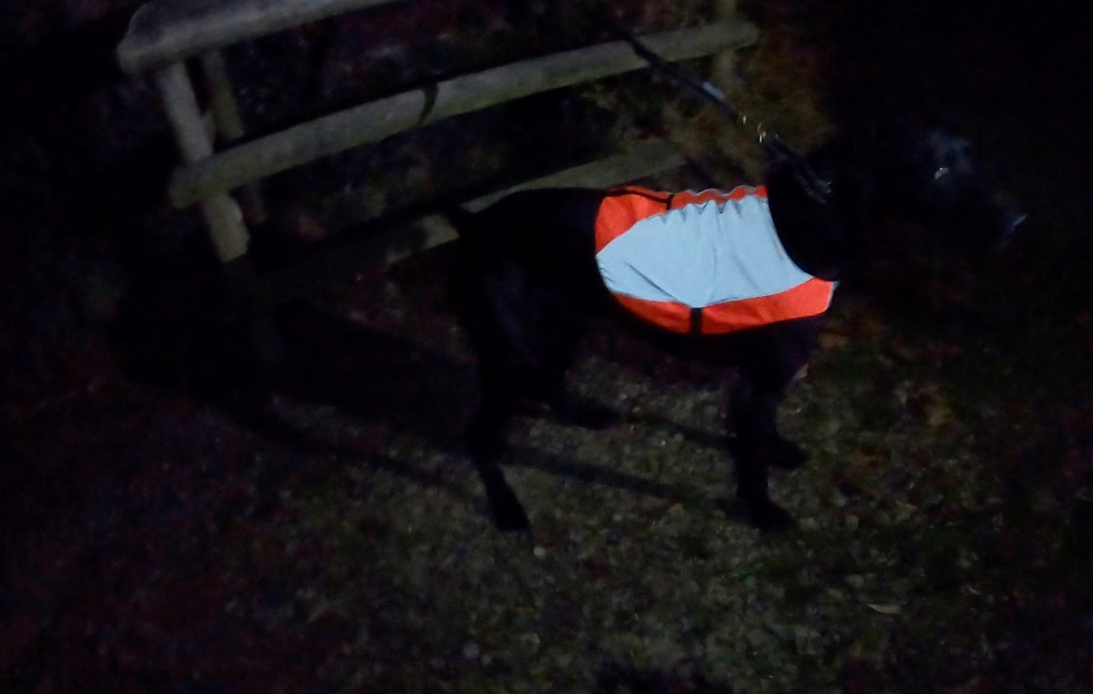 Reflector Vest