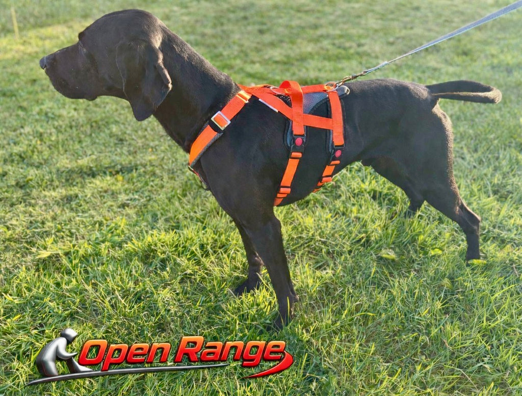 Open Range Harness