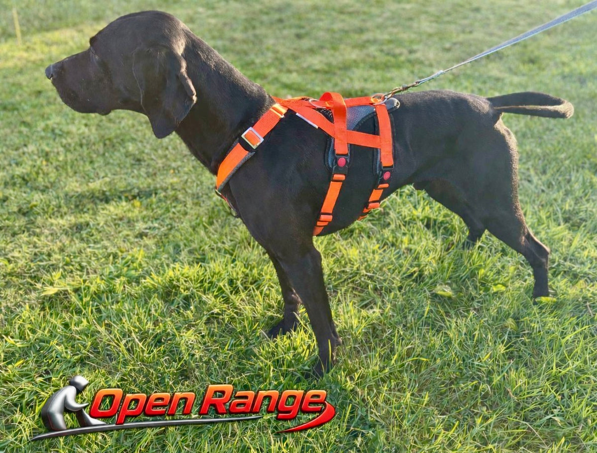 Open Range Harness
