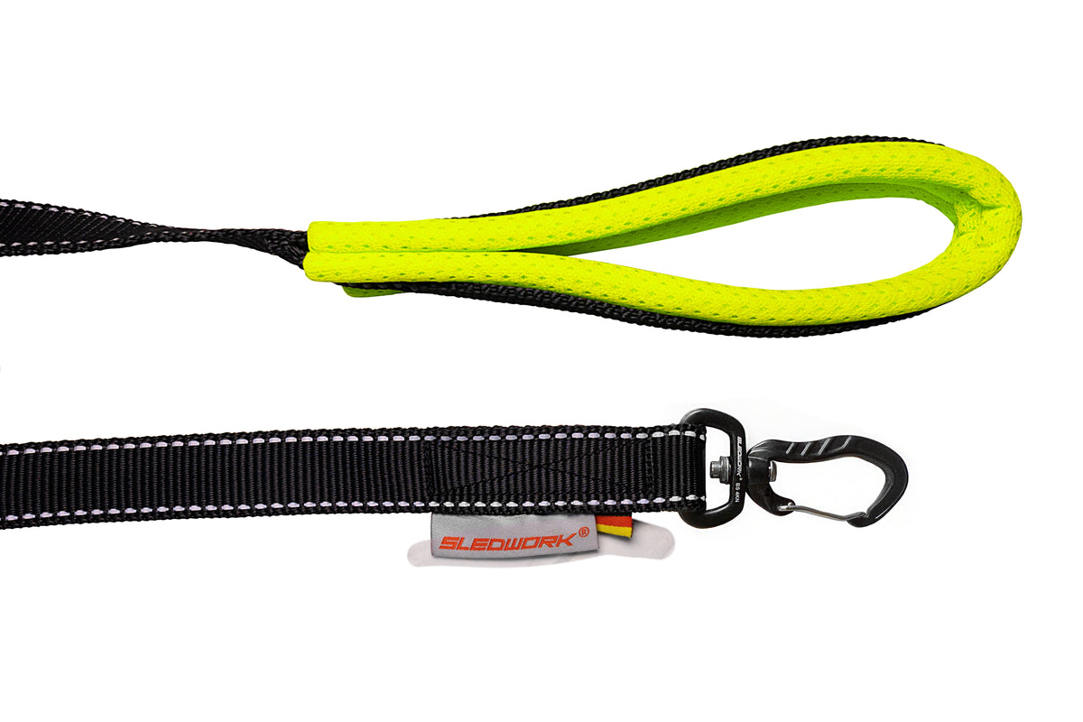 Pro Leash