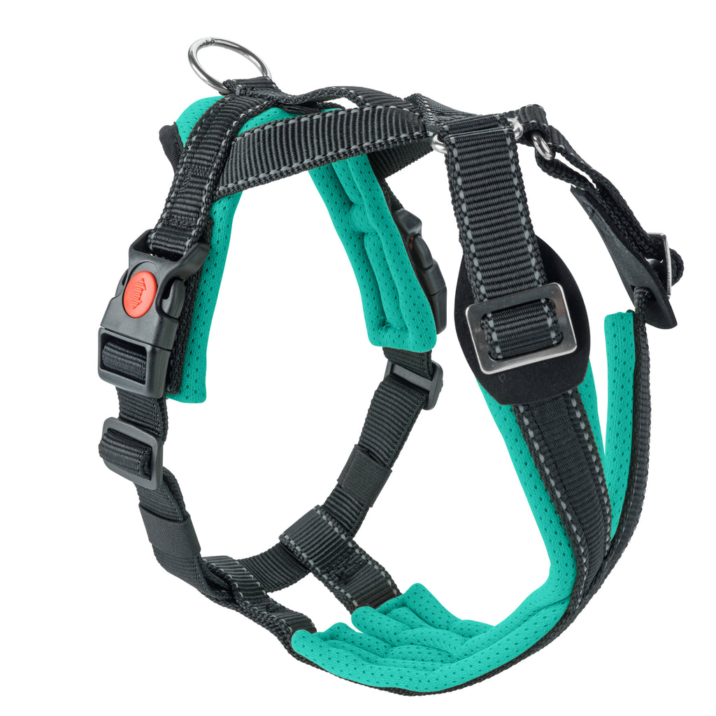 Trekking Harness