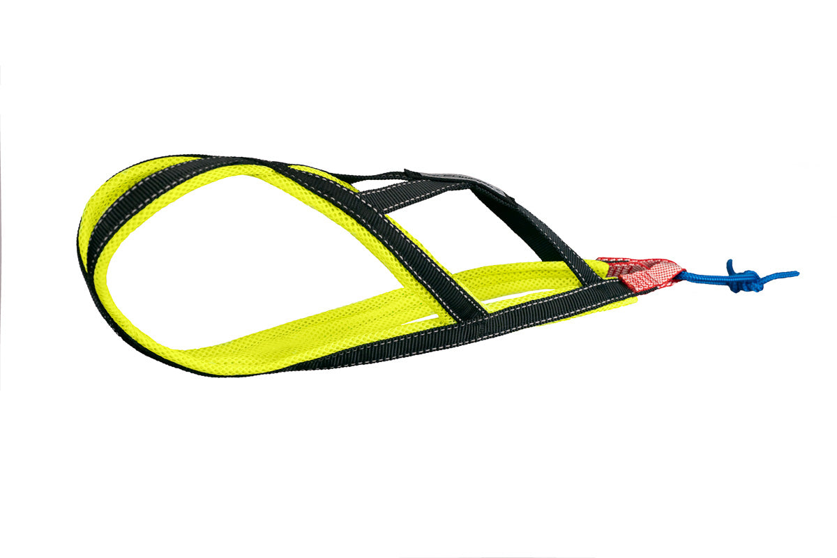 Xback Active G2 Mini