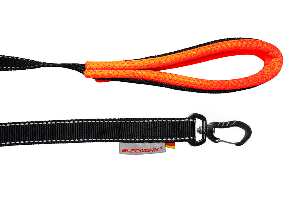 Pro Leash