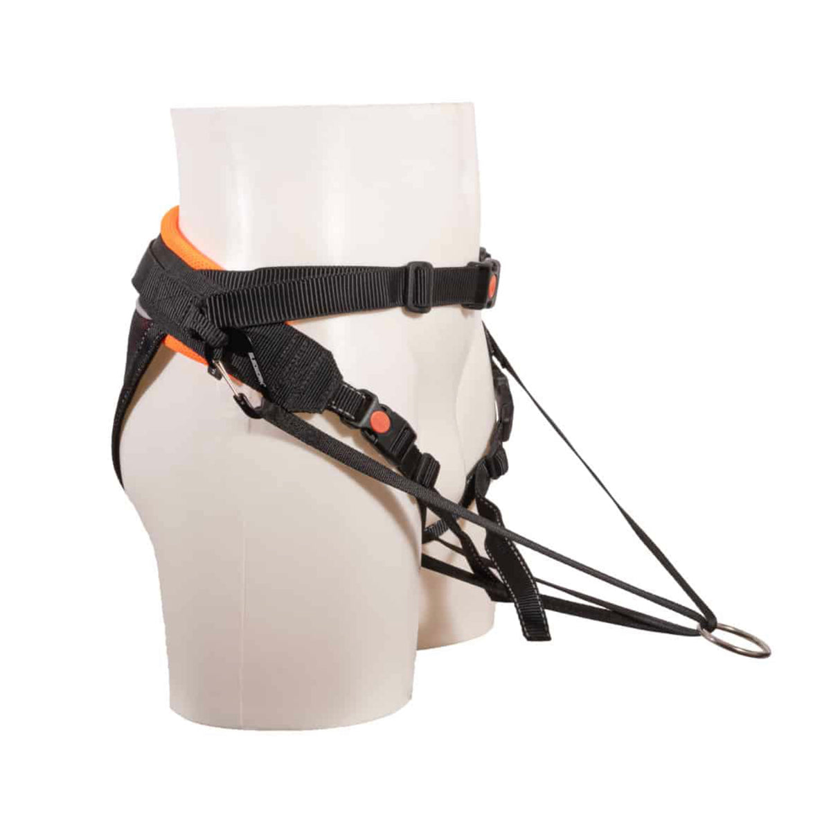 CaniX Belt G2 light