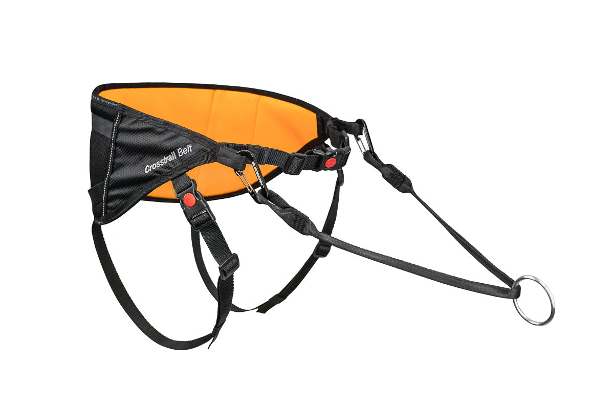 Crosstrail Belt