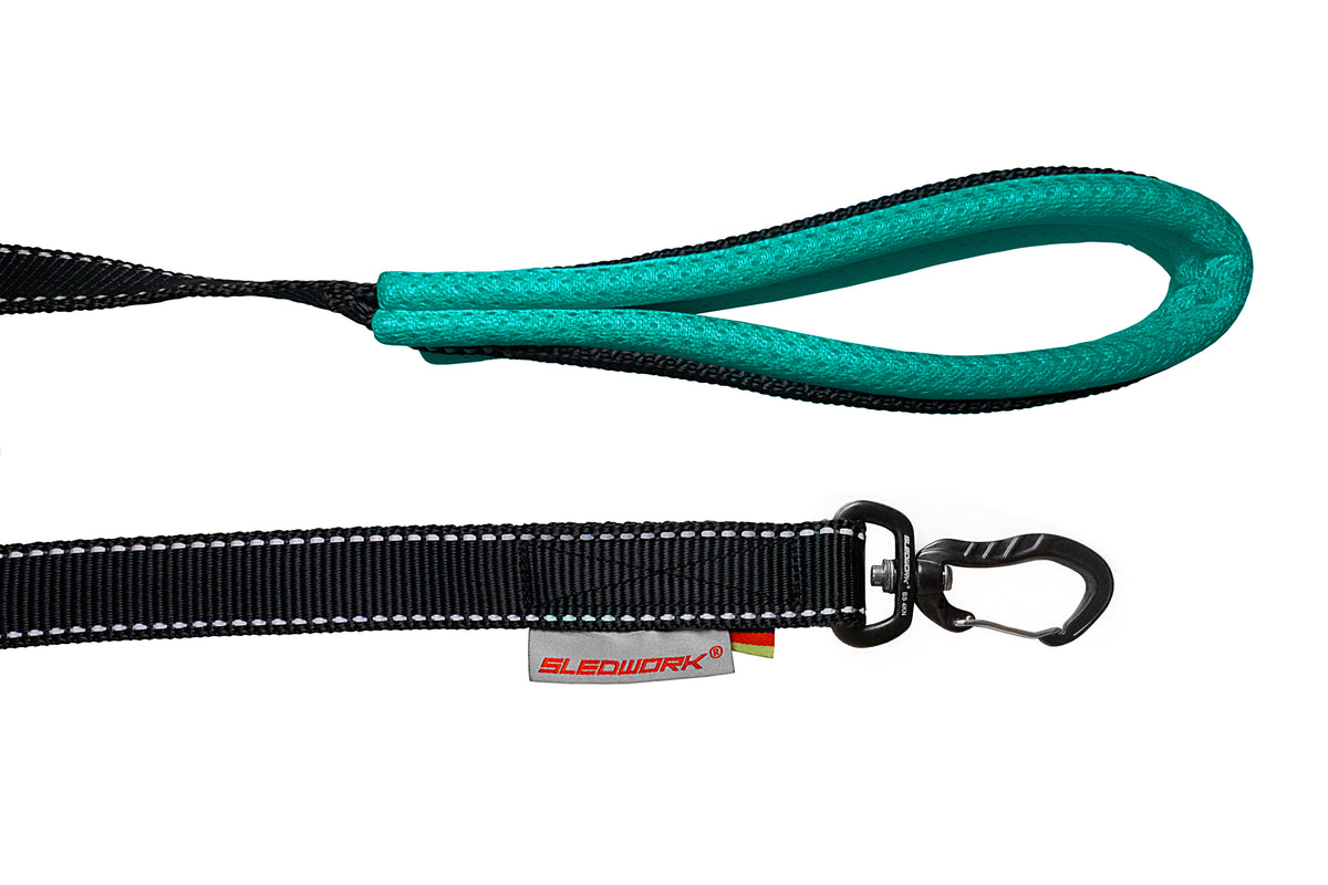 Pro Leash