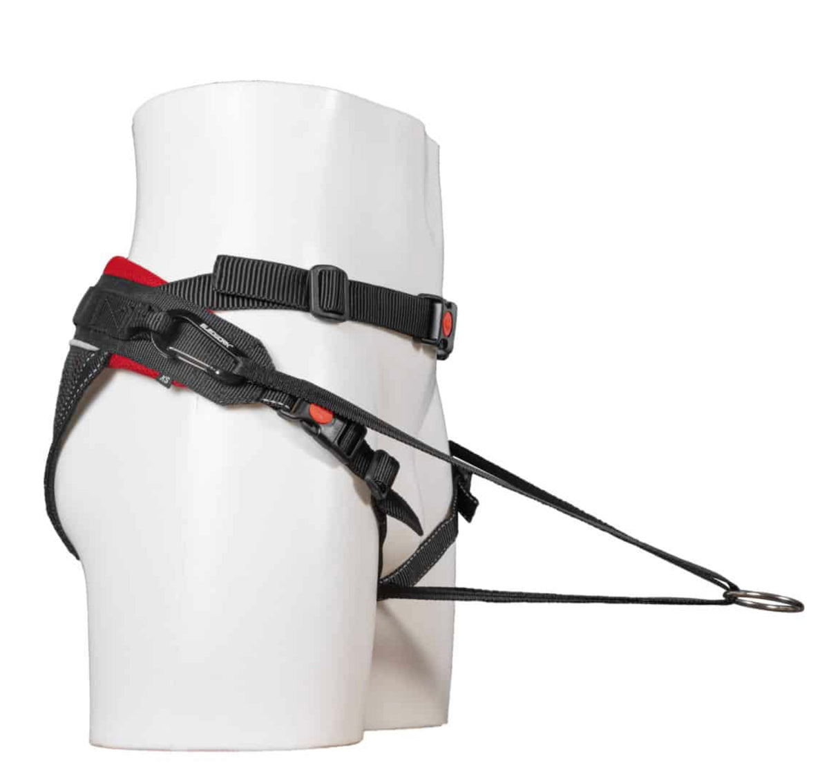 CaniX Belt G2 light
