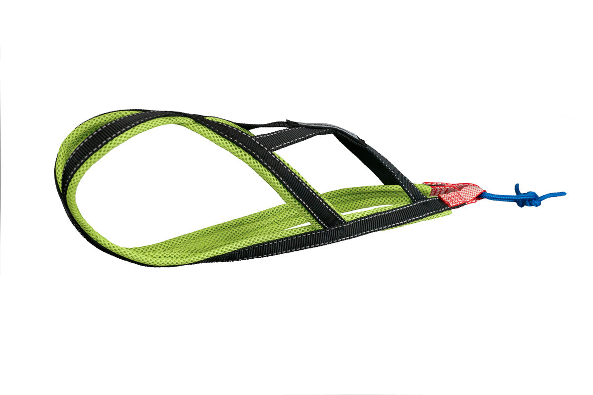 Xback Active G2 Mini