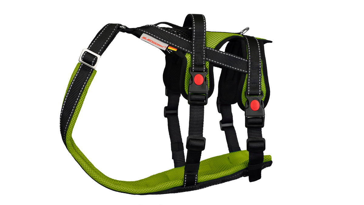 Open Range Harness