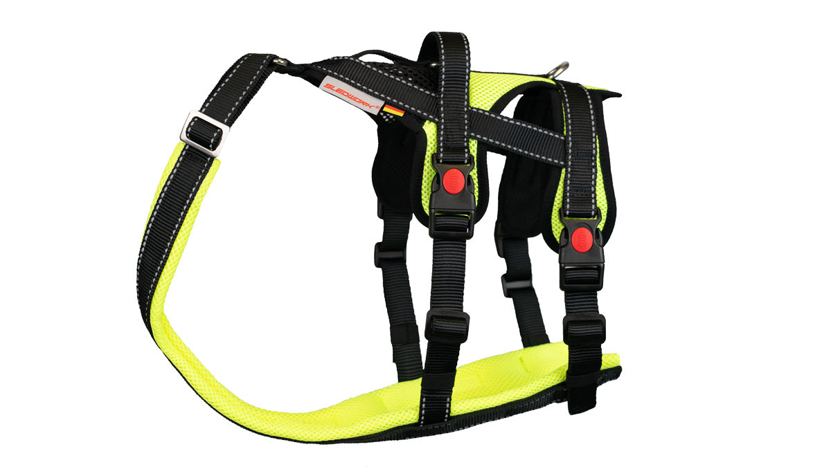 Open Range Harness