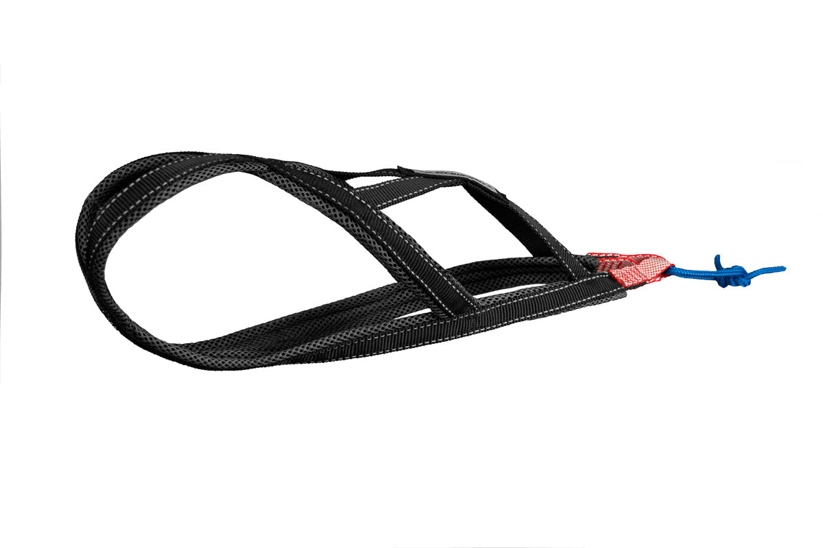 Xback Active G2 Mini