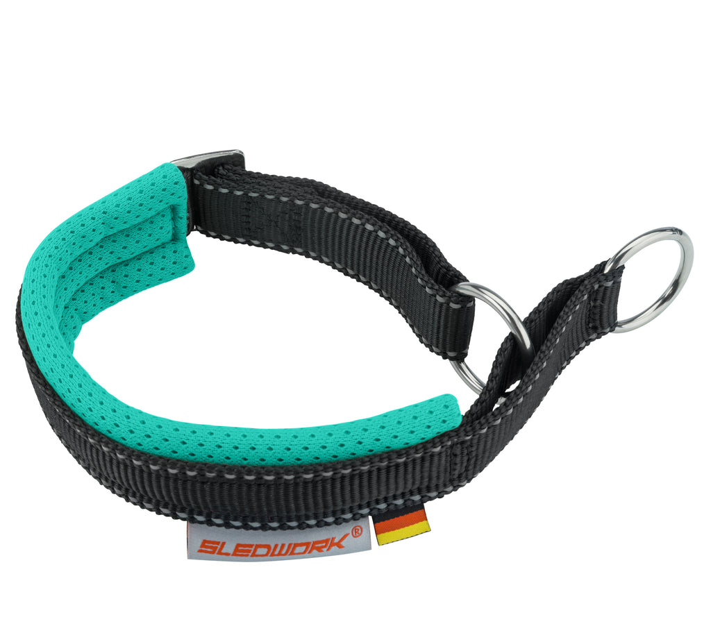Safety Collar - Active