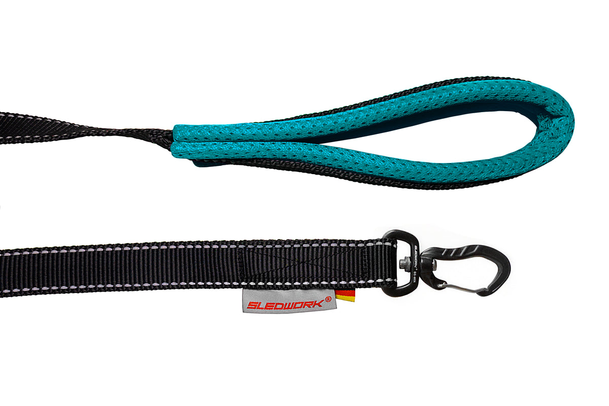 Pro Leash