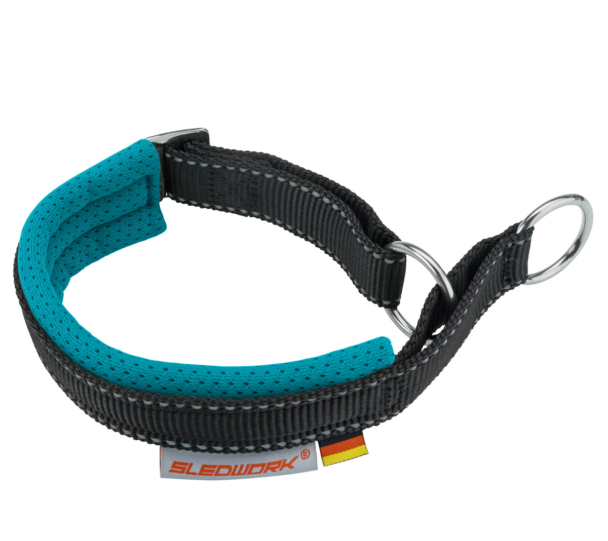 Safety Collar - Active