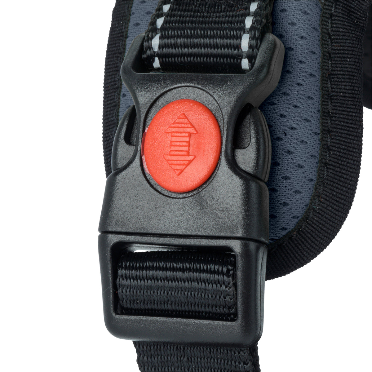 Mountain Pro Harness
