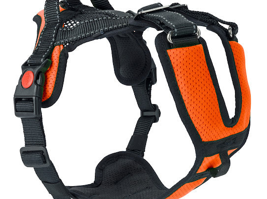 Mountain Pro Harness