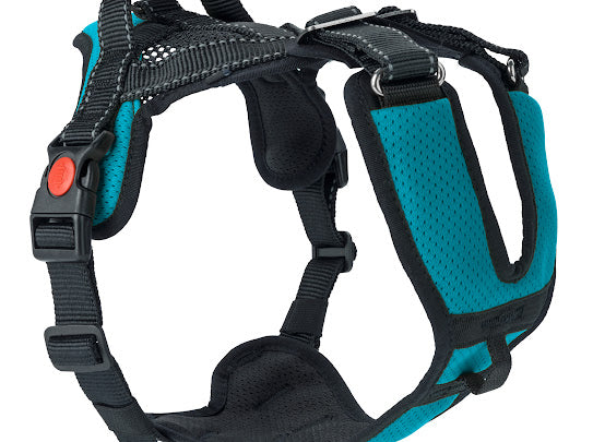 Mountain Pro Harness