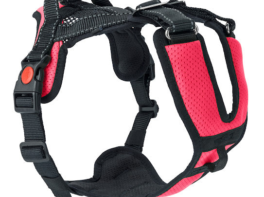 Mountain Pro Harness