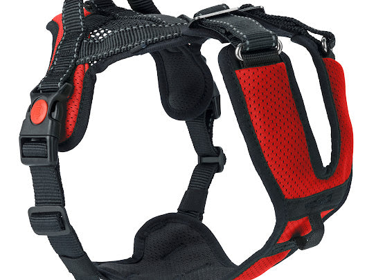 Mountain Pro Harness